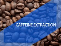 Extraction of coffee and caffeine
