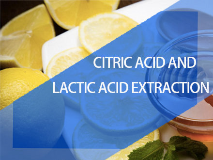 Citric acid and lactic acid extraction