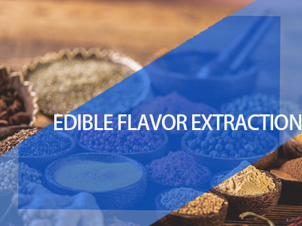 Edible flavor extraction